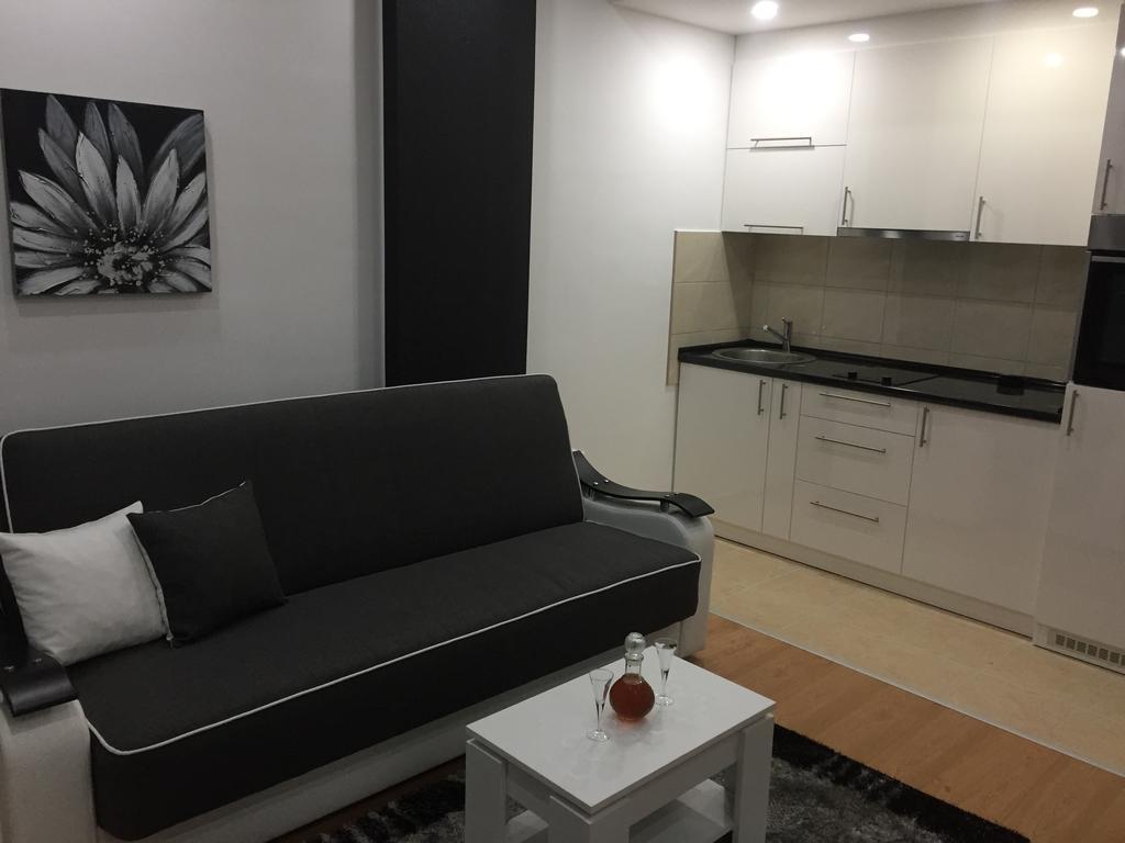 Apartman Jezdic Banja Koviljača المظهر الخارجي الصورة